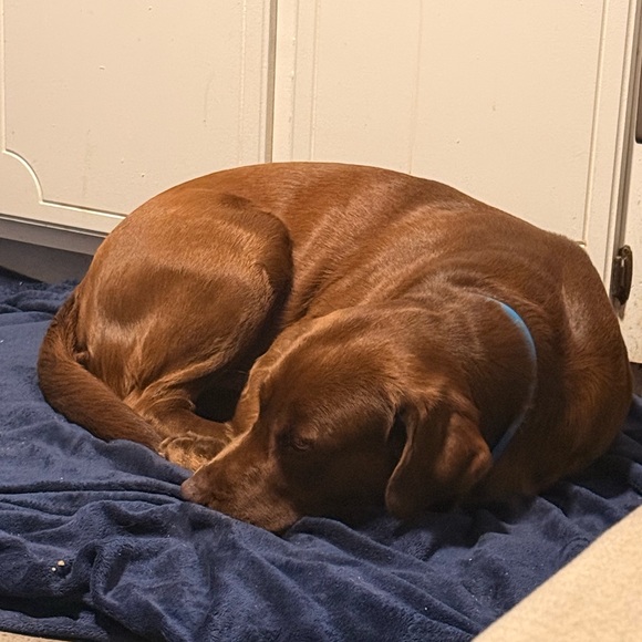 Kaylee Rae🙃 - Picture 8 of 12